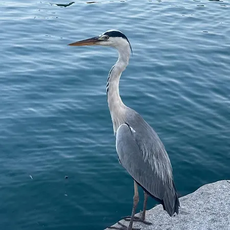 Casa Tuxedo-comfort&relax-a Due Passi Dal Centro *