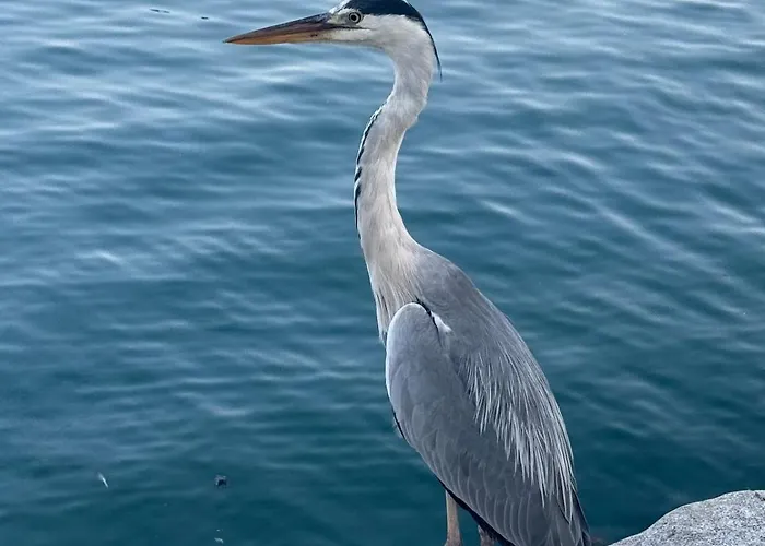 Casa Tuxedo-comfort&relax-a Due Passi Dal Centro *